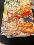 Dr stone manga tomy 10-21