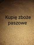 Jęczmień, żyto, owies, pszenżyto, mieszanki paszowe dla świń, bydła
