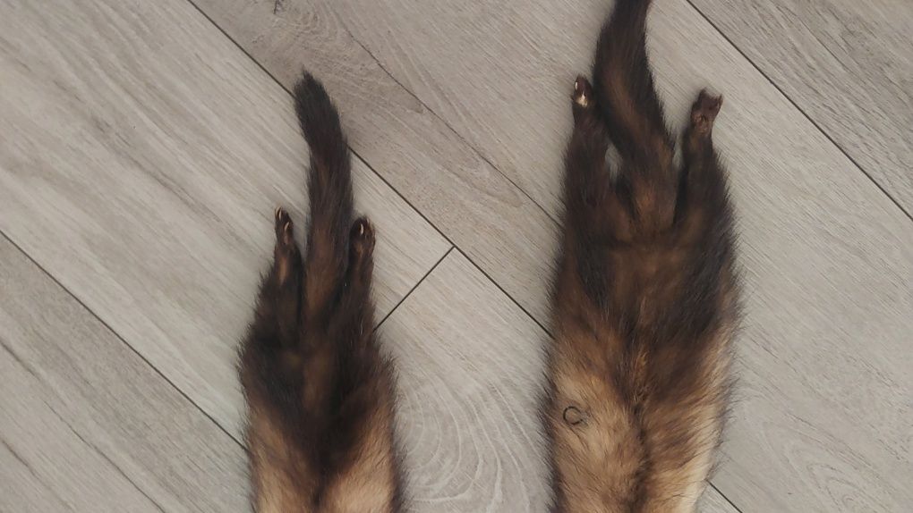 Szalik z futra prawdziwego.