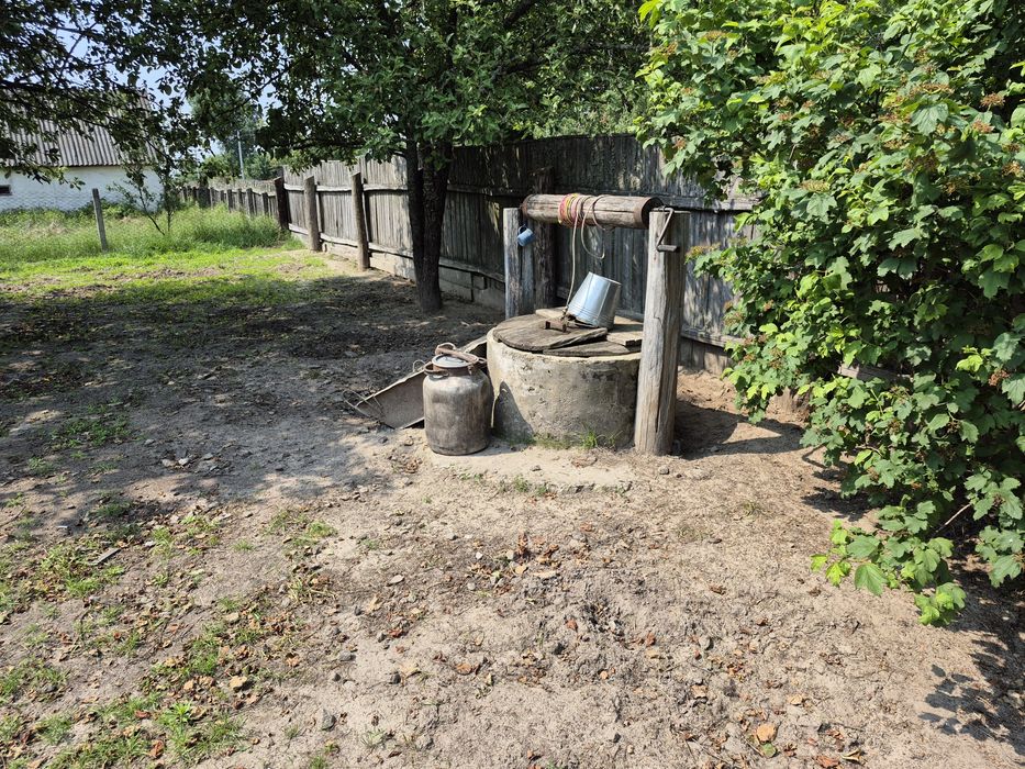 Дім біля лісу 60 соток