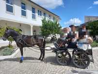 Vendo ou troco cavalo preto e égua castanha