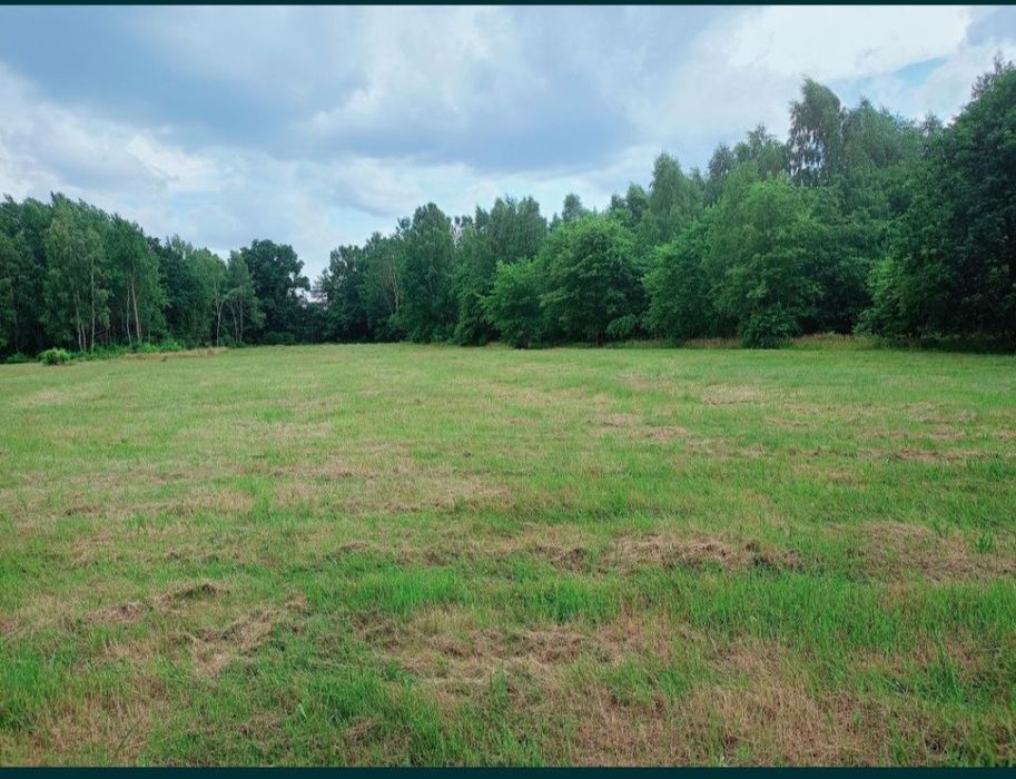 Działki na sprzedaż