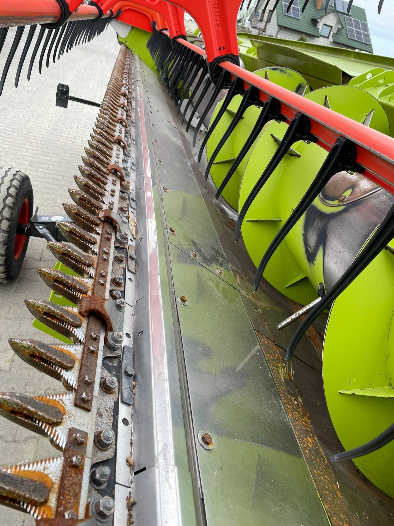 Heder Claas Maxflex 620 do zbioru roślin nisko rosnących