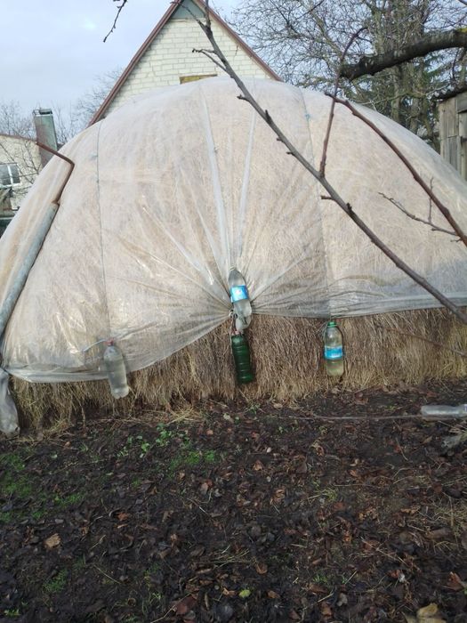 Продам сіно в скирді!