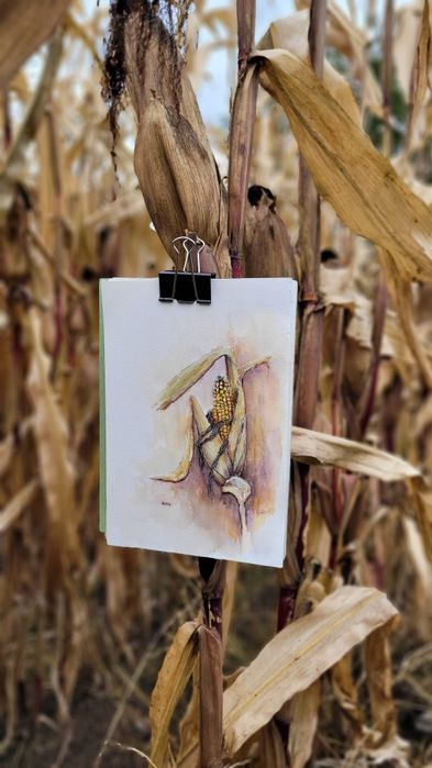 Akwarela ręcznie malowana "Kukurydza" + rama
