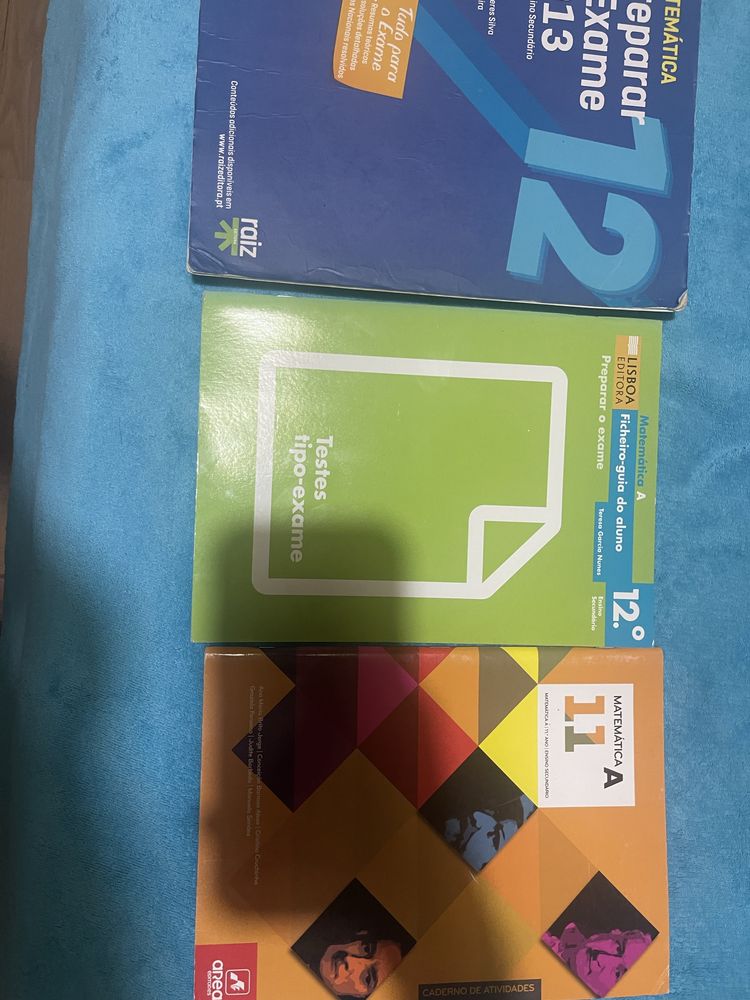 Livros escolares 10/11 ano