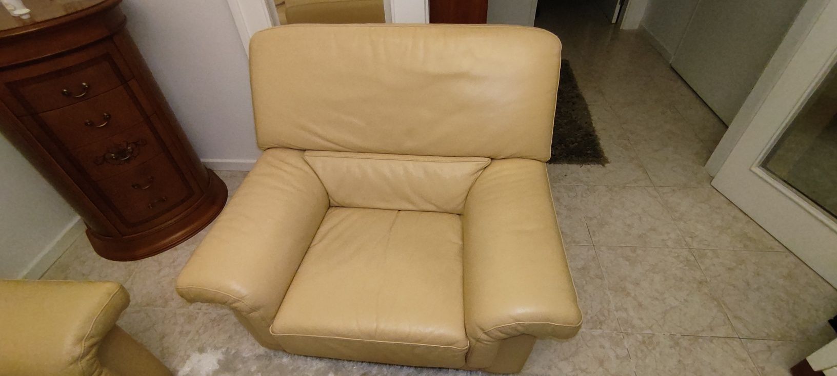 Sofas em pele genuína imaculados