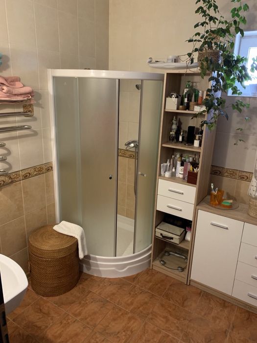 Продаж будинку Старі Петрівці