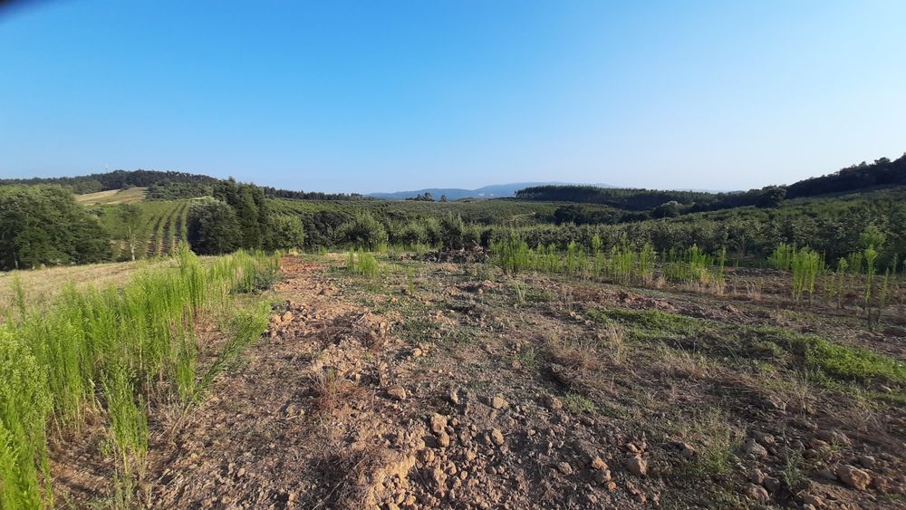 Terreno com 2.500 m²