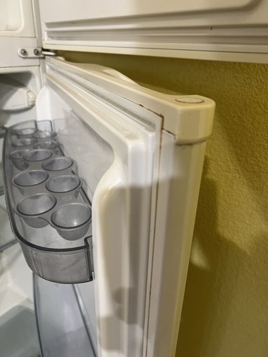 Холодильник Snaige