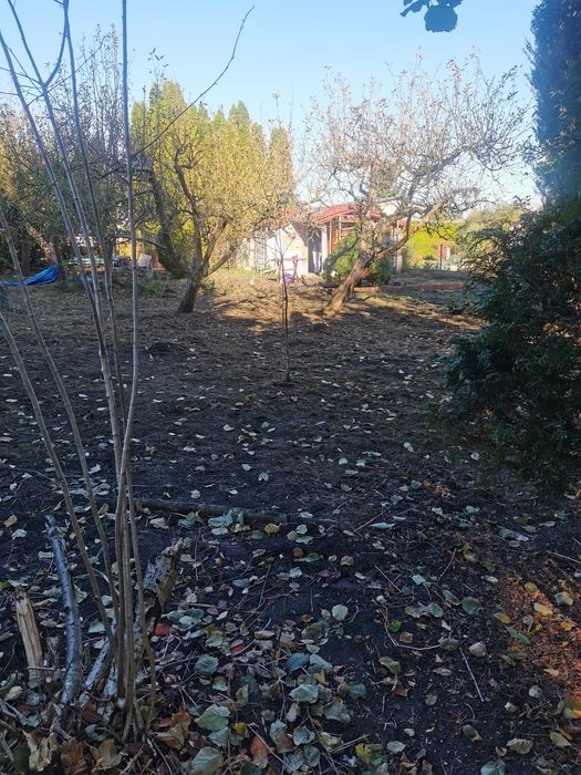 Działka ROD Solec Kujawski 530m z Domkiem