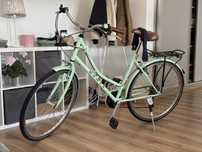 Bicicleta Dawes Heritage Range