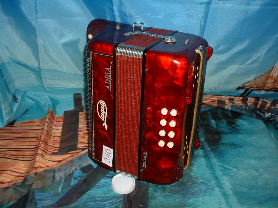 Concertina n. 240