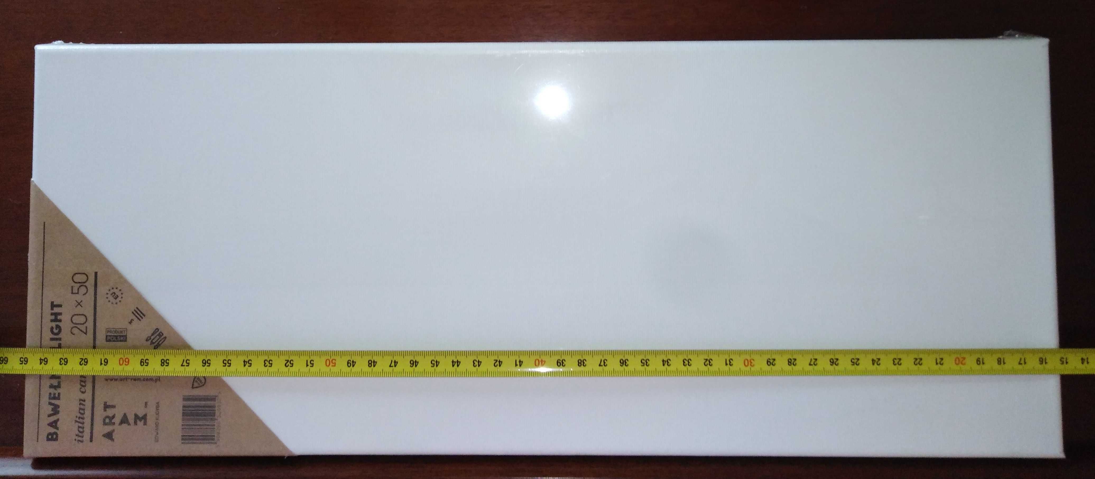 Podobrazie płótno canvas prostokąt prostokątne 20x50cm