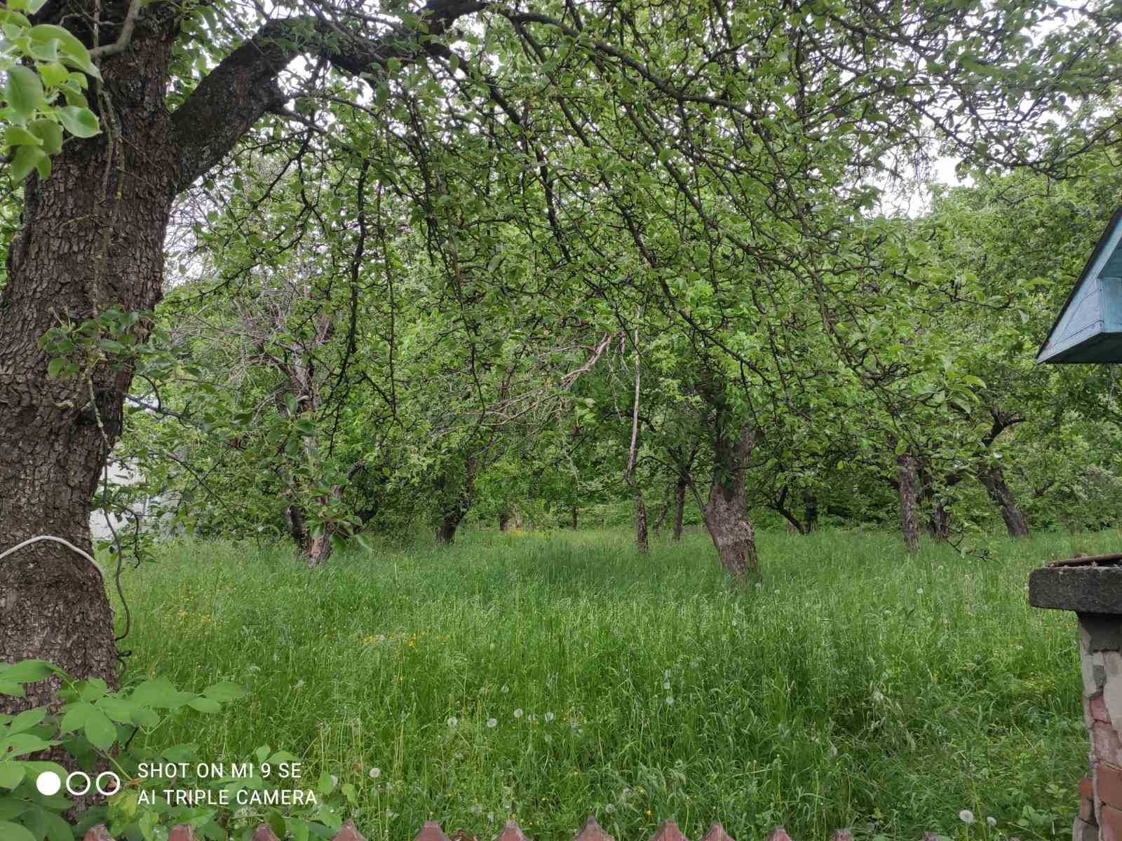 Продам  господарство з житловим будинком ДАЧУ