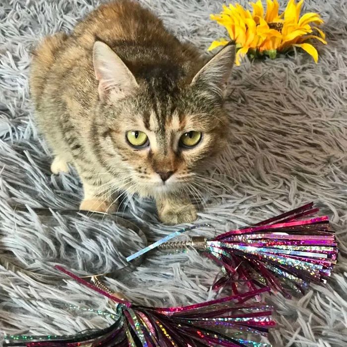 Отдам бесплатно!!