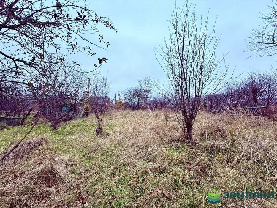 Продається дачна ділянка у с. Хриплин (7)