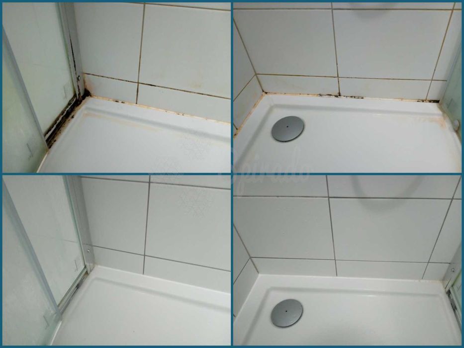 Odgrzybianie ścian – Usuwanie pleśni – Pomiar wilgotności – Termowizja