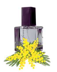 Perfumy damskie FRANCUSKIE Nr 250 30ml inspirowane Mercede L’EAU