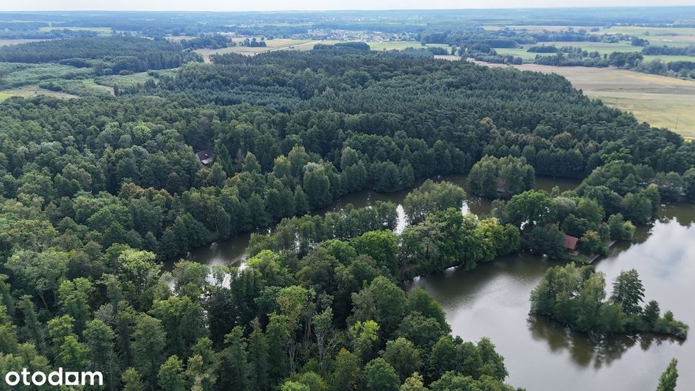 Kompleks działek rekreacyjnych w środku lasu | od 500 m2
