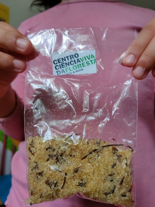 Banho de Sais Minerais Fito Medicinais – Projeto da Pequena Cientista