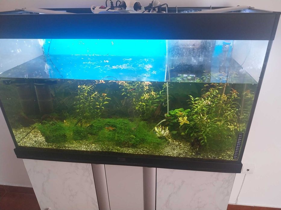 Aquário para venda