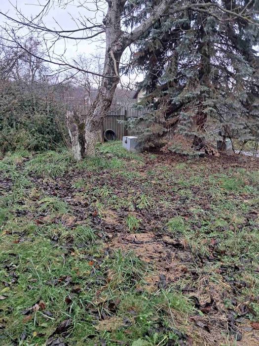 Будинок, нерухомість