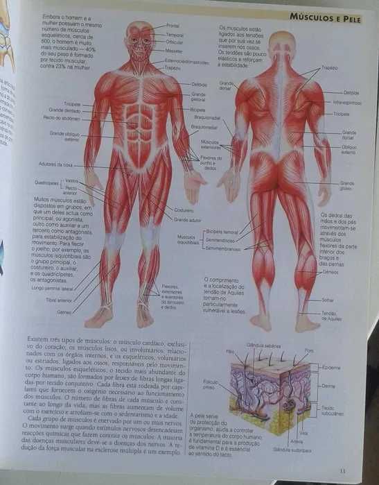 Livro Tratamentos Médicos e Alternativos