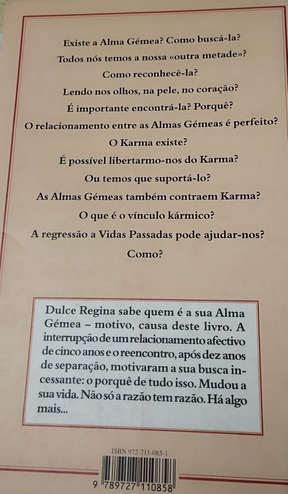 Alma Gémea - O encontro e a busca