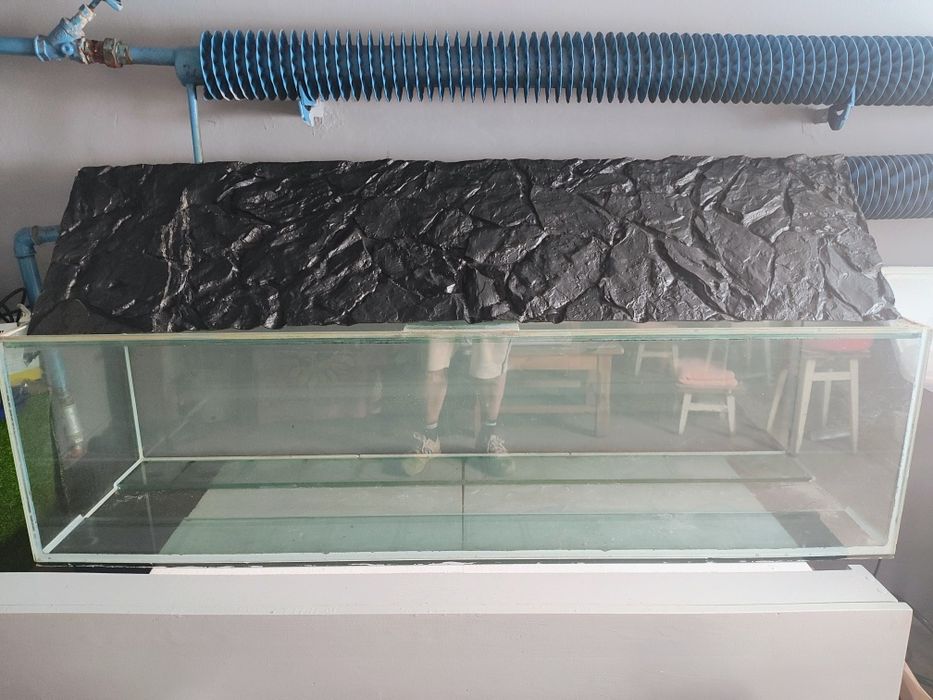 Duże Terrarium z przykrywą.