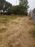 Terreno em Belinho