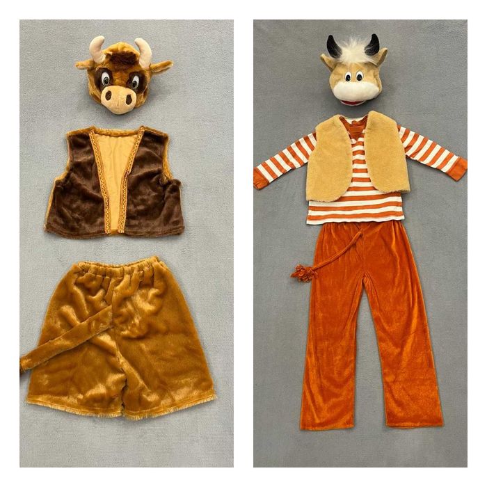 Карнавальні костюми звірят, лев, Їжачок, єнот, оренда, прокат -300грн