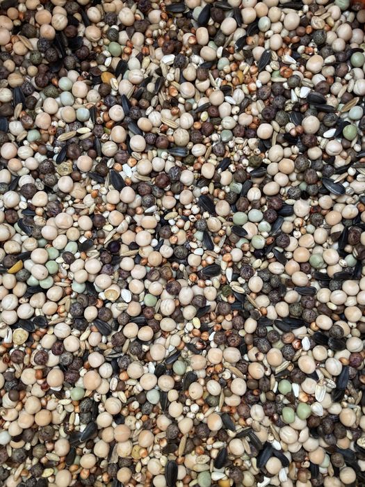 Karma mieszanka dla gołębi NIBORD Bez Kukurydzy BK 25 kg