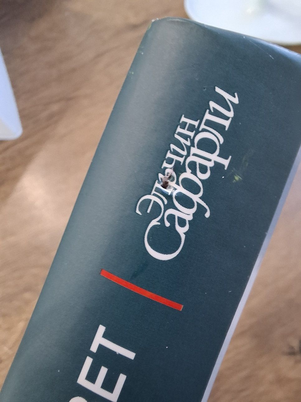 Эльчин Сафарли  "Дом, в котором горит свет"