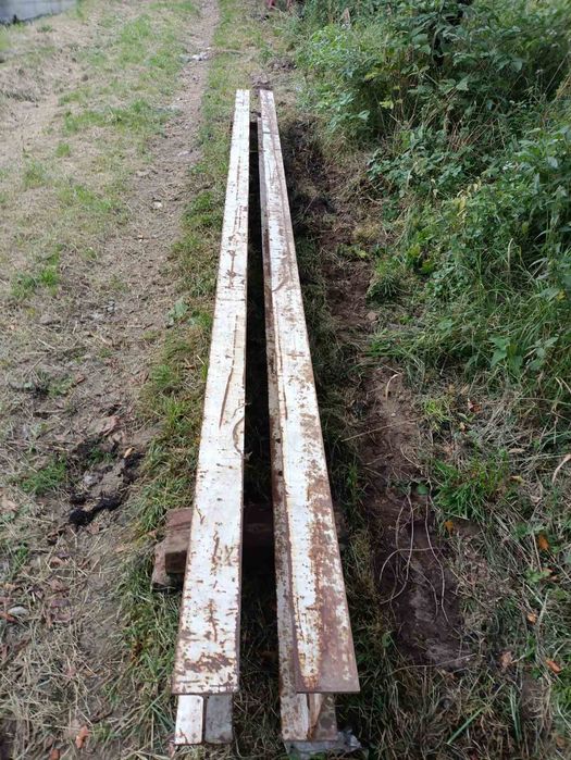 Двотавровабалка австрійська 35