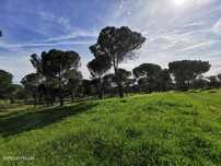 Terreno com 8.5 hectares casa para reconstruir