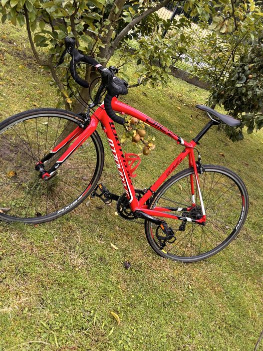 Specialized allez prosto po serwisie