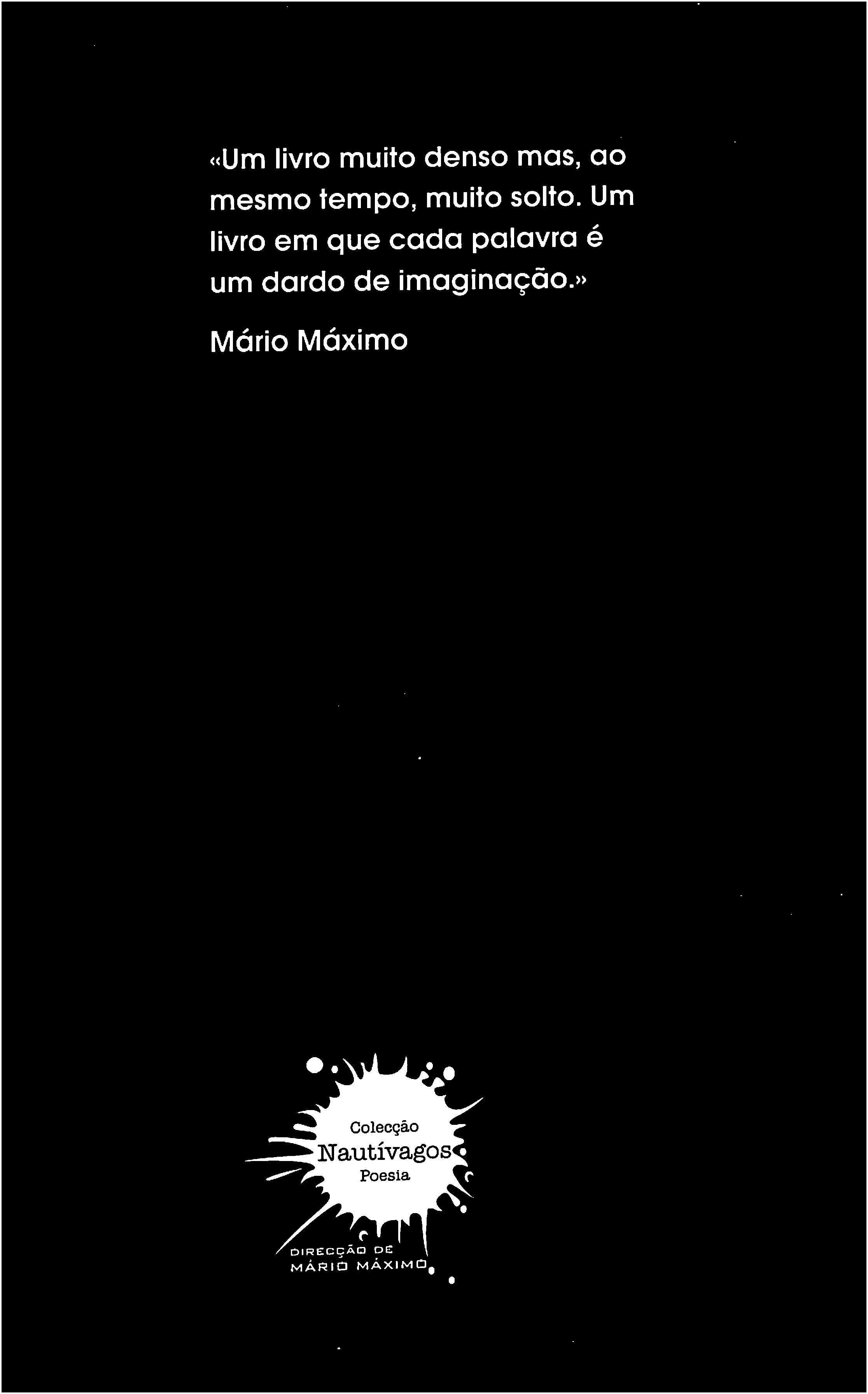 "Um Escorpião Coroado de Açucenas" de Madalena Férin [Novo]