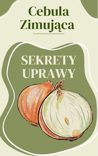 Cebula Dymka Zimująca Cerwona 'Red Cross' – Długie Przechowywanie 250g