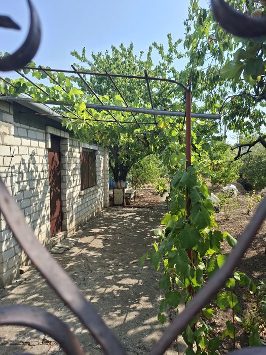 Продается уютная дача в садовом кооперативе