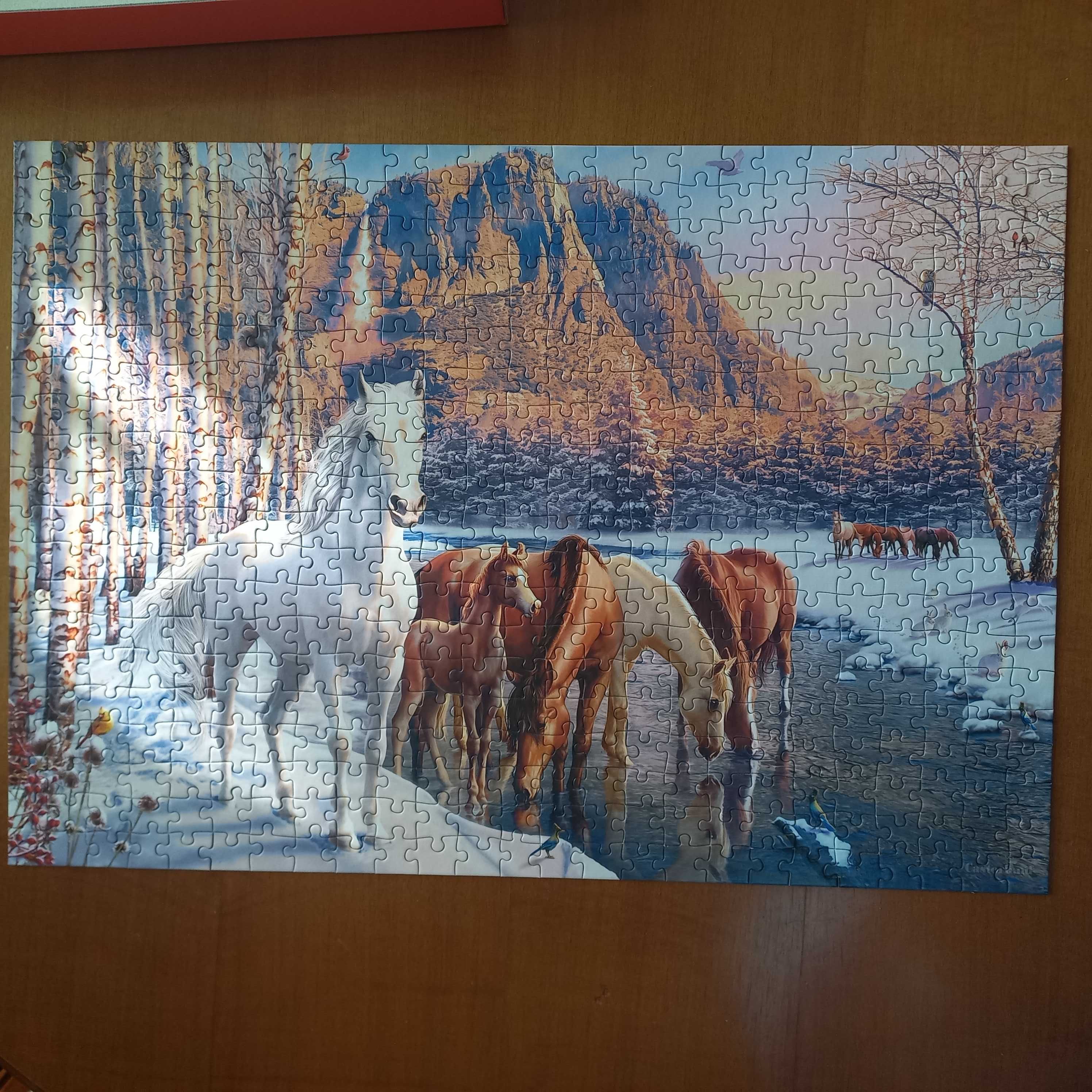 Puzzle 500 Castorland konie