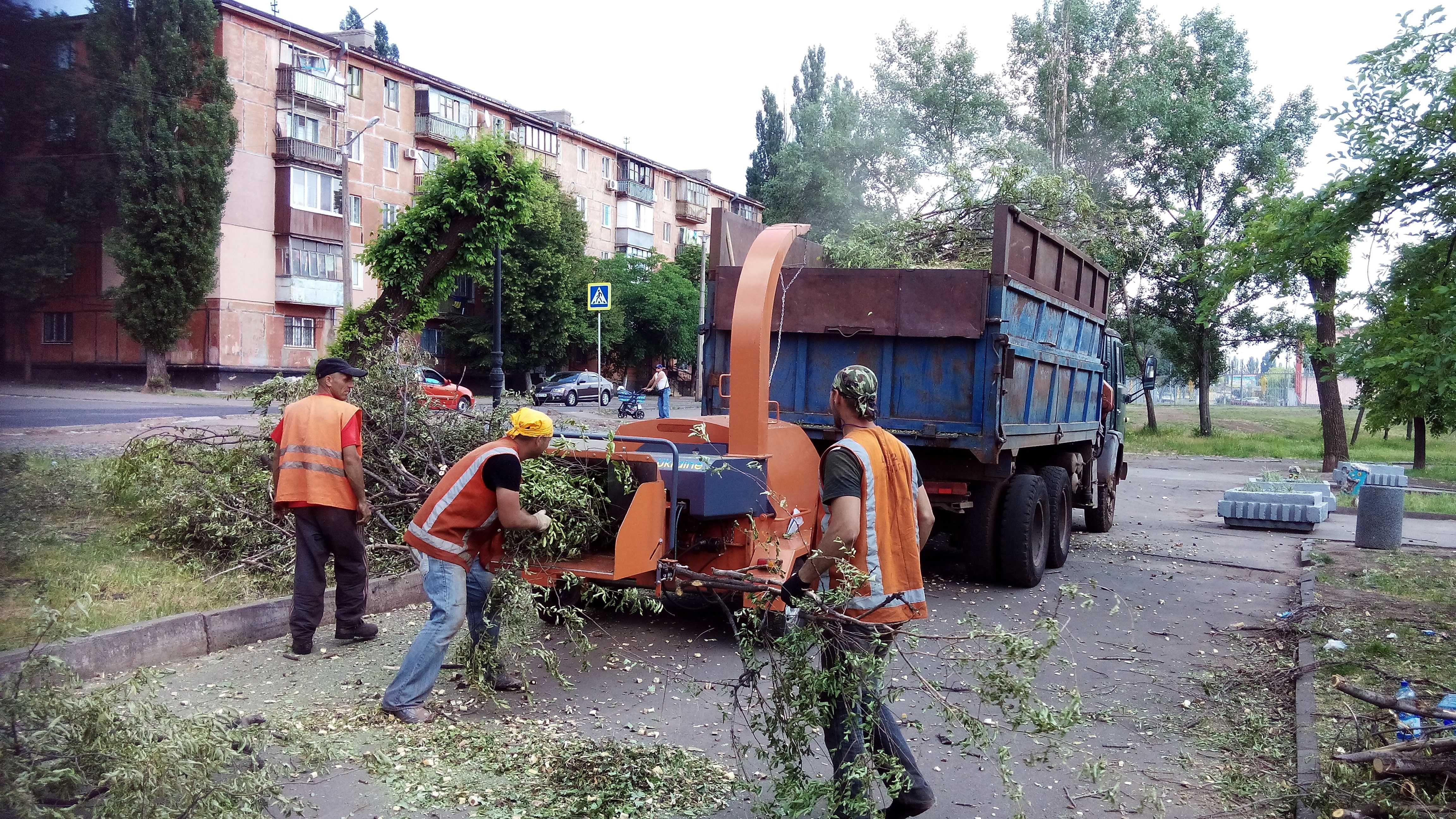 Спил та обрізка дерев з бензопилами в м. Кривий Ріг. Недорого !