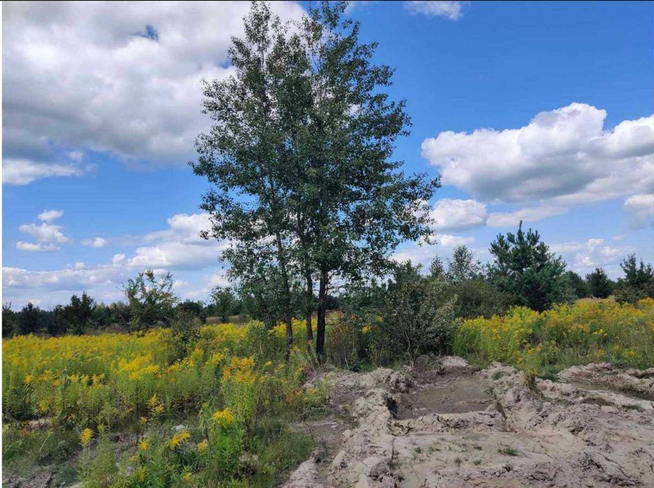 Продаж земельної ділянки, площею 1,0600 га,  Житомирська обл.
