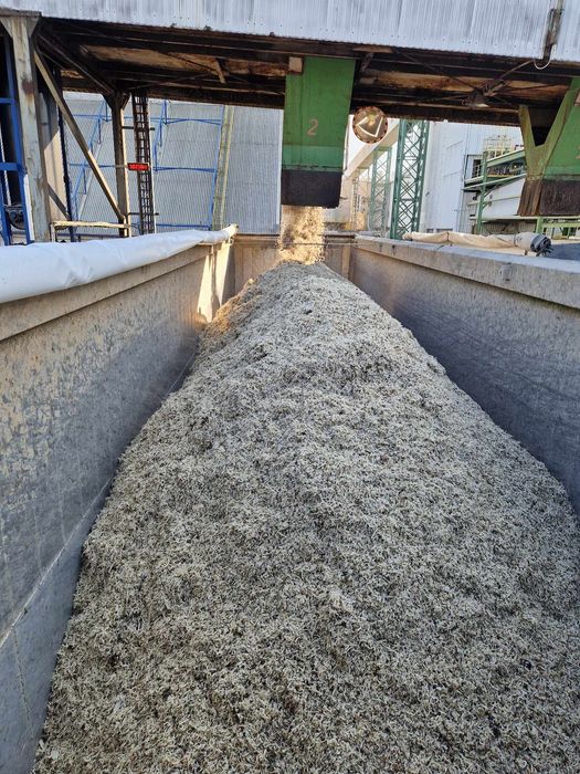 Wysłodki wytłoki buraczane mokre z dostawą.