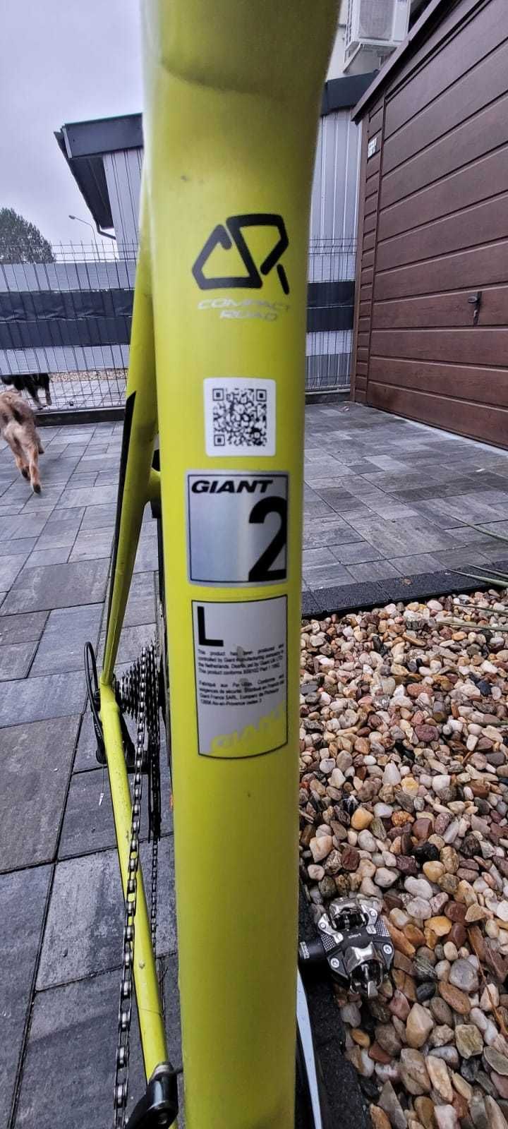 Rower Szosowy Giant Contend SL 2, po serwisie