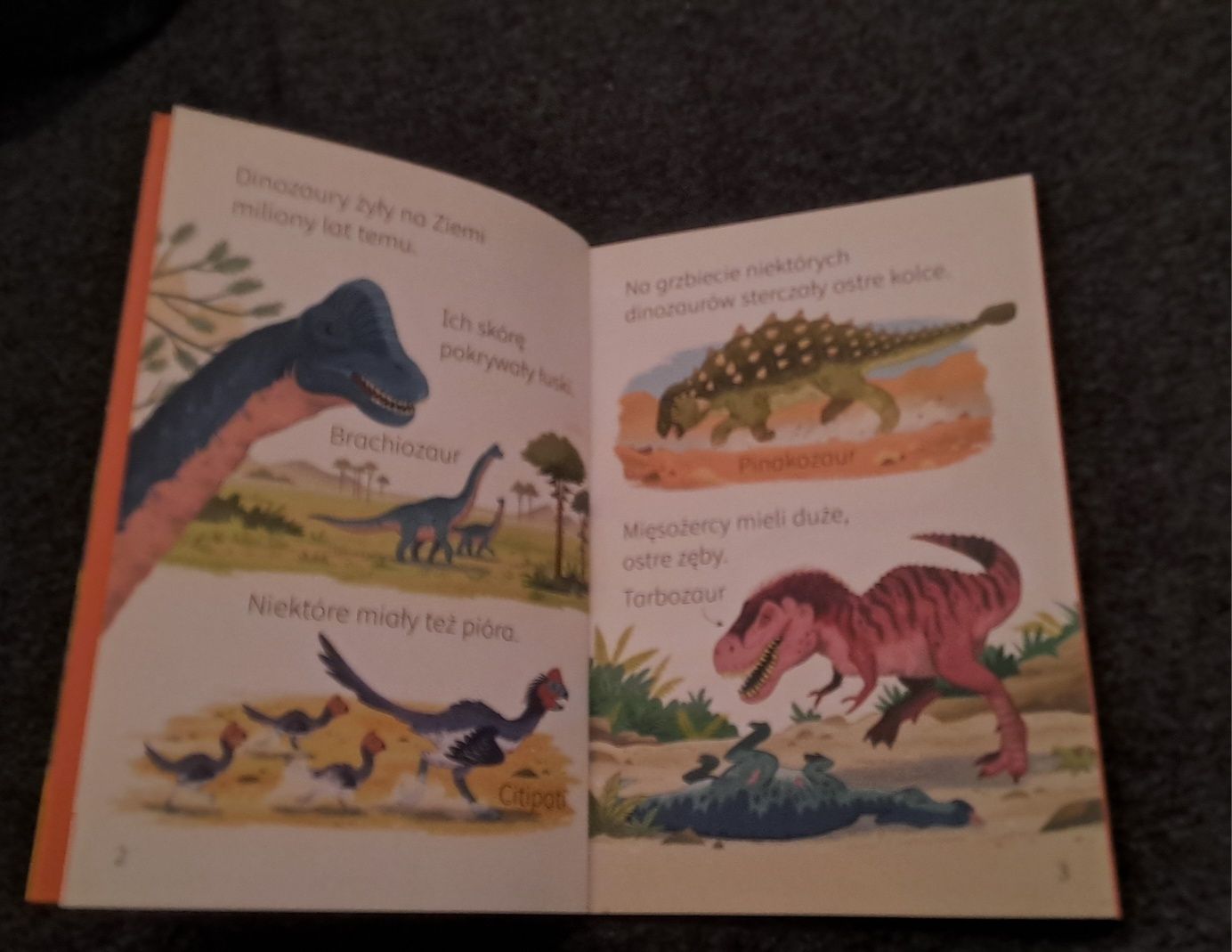 Dinozaury-  książka dla dzieci