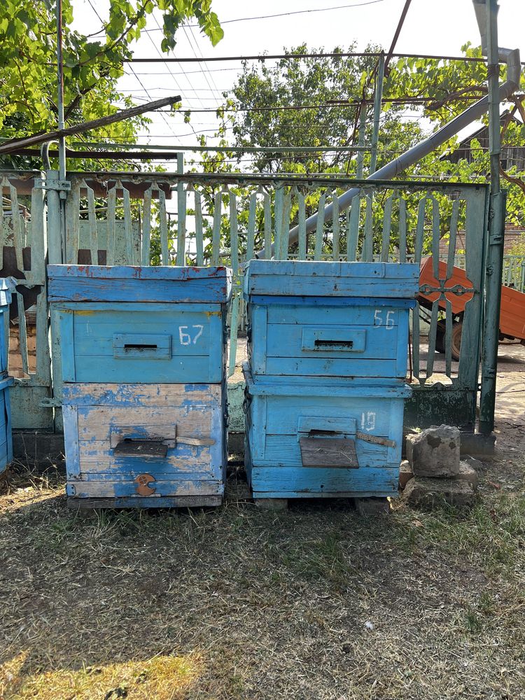 Продаю вживані вулики