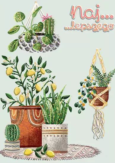 Karnet B6, Kwiaty doniczkowe. Henry