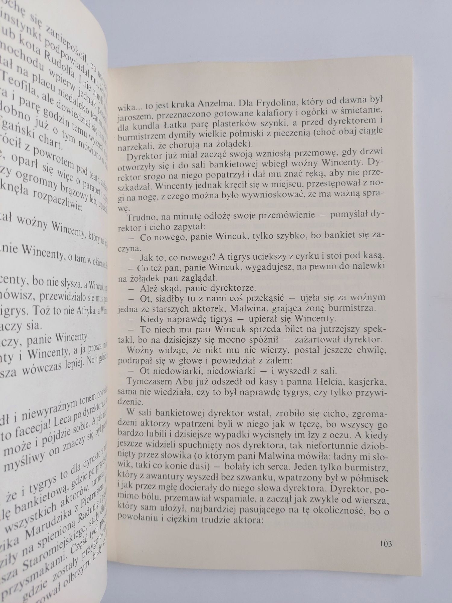 Przygody Piotrusia na pirackiej wyspie skarbów - Zbigniew Szymański