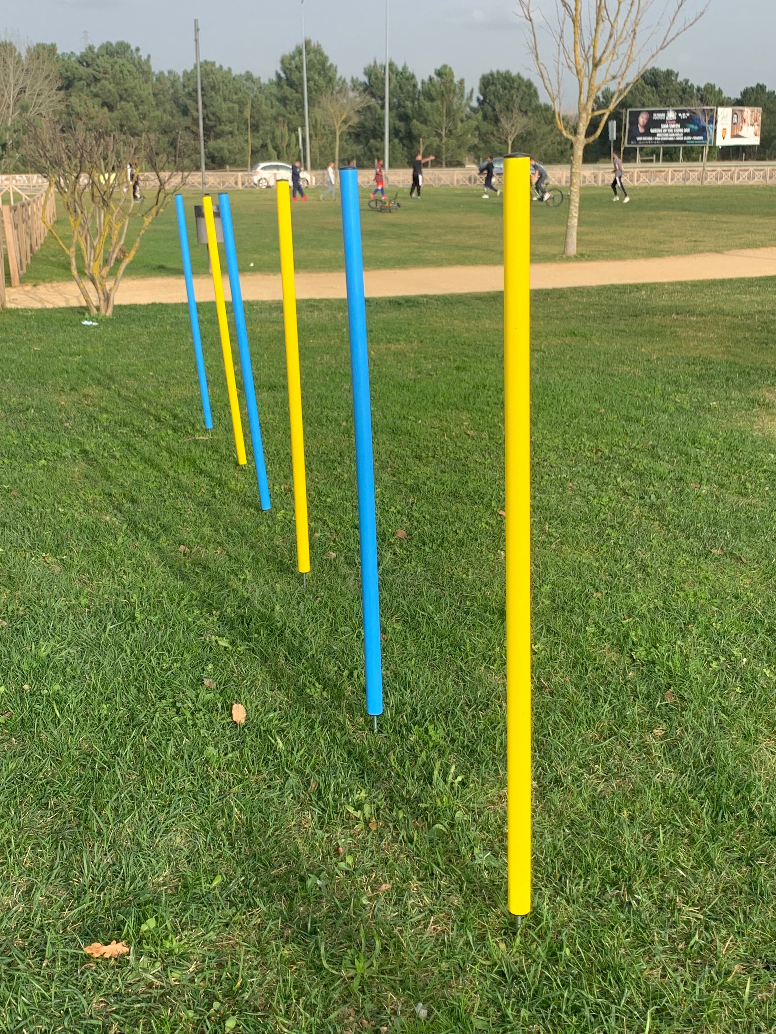 Obstáculos treino de animais cão